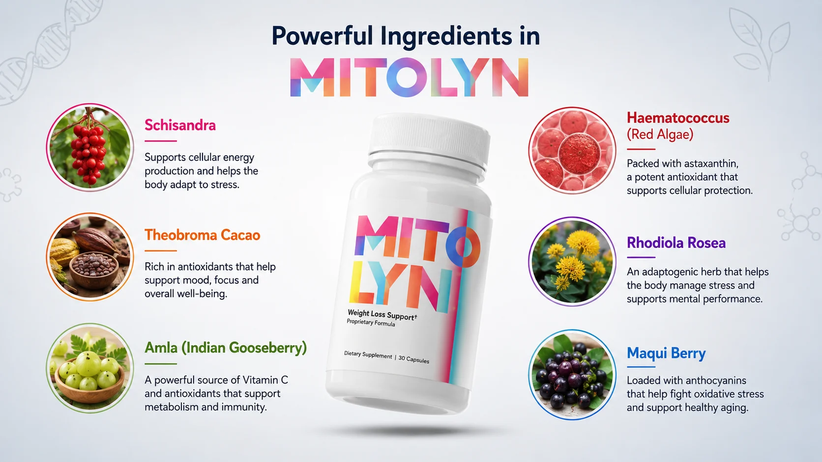 Mitolyn ingredients